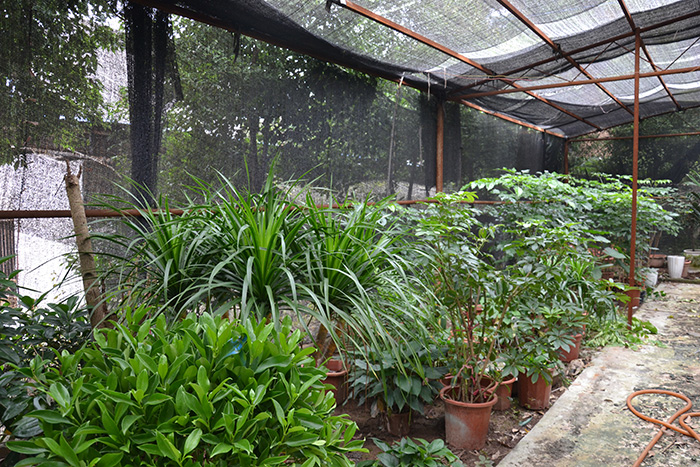 種植基地